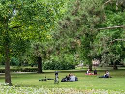 Maybe you would like to learn more about one of these? Alter Botanischer Garten