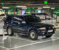 Image result for Autumn Brown 1997 SsangYong