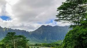 Ho'omaluhia botanical garden has recently become one of these famous social media photo spots. Ho Omaluhia Botanical Garden 45 680 Luluku Rd Kaneohe Hi 96744 Usa