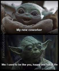 Twitter found a new baby yoda meme, obsessing over a moment in disney less than a month after the internet fell in love with our adorable green asset, the arguable star of disney+'s the mandalorian, episode 4 gave us a glorious meme of bebé sipping on the sidelines while life goes on around him. Work Memes And Tweets To Prepare You For Monday Yoda Funny Yoda Meme Star Wars Humor