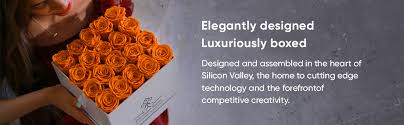 You can send flowers to dubai with same day flower while 800flower strives to deliver the freshest, longest lasting, beautiful flowers, you can make them last much longer with a little care and a lot of love. Amazon Com Premium Roses Real Roses That Last A Year Fresh Flowers Roses In A Box White Box Medium Grocery Gourmet Food