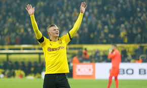 Hier findet ihr news, videos, bildergalerien, tickets und vieles mehr zu den fohlen. Matthaus Advises Halland To Stay In Dortmund Egypttoday