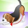 This is a very common form of dog cancer, more so in the mouth than the nose. 1