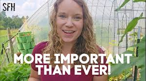 Scott Family Homestead