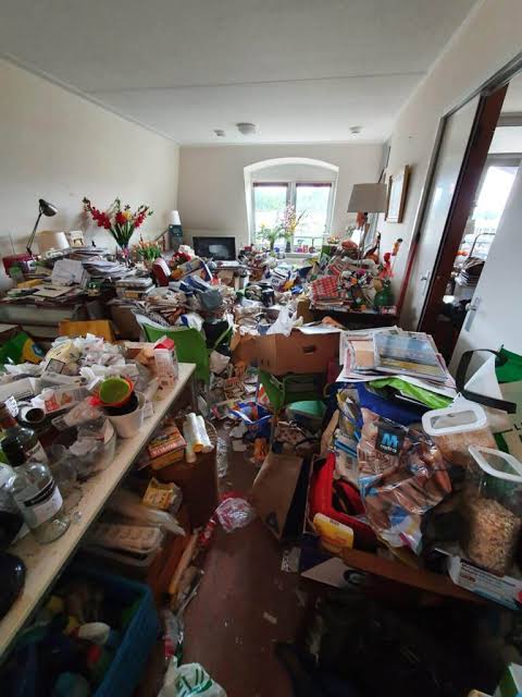 Woning schoonmaak