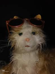 Explore Japan's Cutting-Edge Robot Cafes, Entertainment, and Innovations