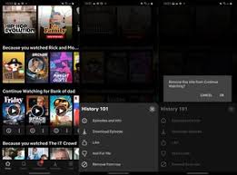 The best tv shows on netflix right now include cobra kai, breaking bad, the crown, stranger things, bridgerton, the queen's gambit, and more. How To Remove Shows From Your Netflix Continue Watching Row