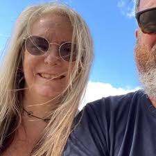 Can someone remove a bee hive from a kaffir lime tree?