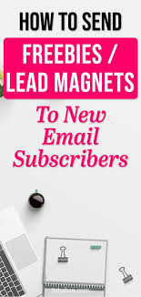 How To Deliver A Lead Magnet Or Optin Freebie Easily Email List Building Strategies Lead Magnet Blogging Tips