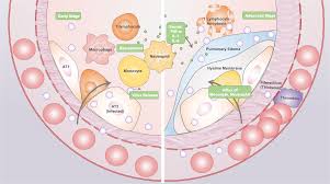 Covid 19 In Early 2021 Current Status And Looking Forward Signal Transduction And Targeted Therapy