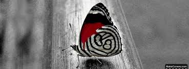 Black And White Facebook Cover Beautiful Black White Butterfly Facebook Covers For Your Timeline Profile Cover Photos Withou Cover Pics For Facebook Timeline Cover Photos Timeline Covers