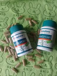 Sebagian perempuan terkadang merasa setres apabila dihadapi dengan masa haid atau menstruasi. Kesan Pengambilan Shatavari Himalaya Asparagus Racemosus Mohazsue