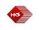 Logo Holi Group