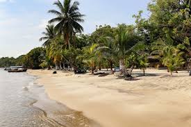 Calephelis costaricola strand, 1916 mexico, honduras, panama; Guatemala Fluge Rundreisen Hotels Tourismus Schiegg