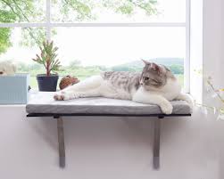 We know you and your pet will enjoy our bed, however, if you are not completely satisfied with it at any time, simply contact us. Tucker Murphy Pet 2 Ulloa Window Seat Cat Perch Reviews Wayfair