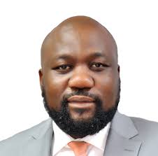 Meet Uwajumogu, Tinubu's SA Industry, Trade & Investment