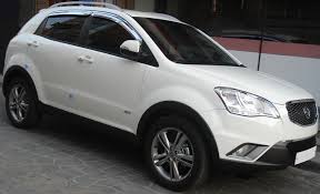 Image result for Navy Blue 1995 SsangYong