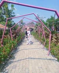 Buaya memang menjadi salah satu binatang yang berbaya bagi manusia namun ada saja manusia yang berani melakukan interaksi dengan buaya. Info Lengkap Taman Lio Baheula Cibarusah Bekasi Kata Omed