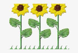 Free Free 148 Transparent Background Stem Sunflower Clipart SVG PNG EPS DXF File