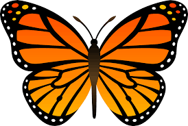 Monarch Butterfly Day Free Event Butterfly Clip Art Monarch Butterfly Butterfly Drawing