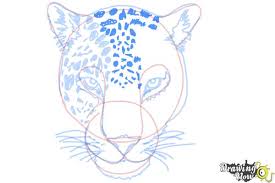 How to draw a cheetah by lcibos on deviantart. How To Draw A Cheetah Face Drawingnow