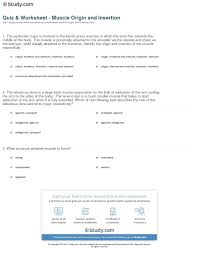 Quiz Worksheet Muscle Origin And Insertion Jpg 1140 1449 High School Health Special Education Students School Health
