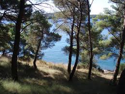 Dlhodobá predpoveď počasia v chorvátsku klimatické podmienky chorvátskeho pobrežia sú typicky stredomorského rázu, ktorý možno charakterizovať dlhými a teplými letami s minimom zrážok a pomerne miernou a krátku zimou. Ferienwohnungen Medena Seget Donji Trogir Dalmatien Kroatien Donji Seget Mitteldalmatien Kroatien Preis Last Minute Sonderangebote Unterkunft