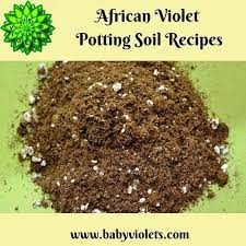 Despite the reputation as a bleak and barren soil. To Make Your Own African Violet Potting Soil Recipes Are Here Www Babyviolets Com How To Prepare African Violet African Violets Potting Soil How To Dry Basil