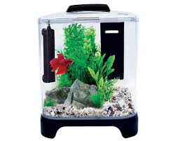 Want to share your experiences with this product or. Aqua One Betta Haven 7l My Pet Warehouse