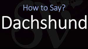 But lately, i keep sitting down at the table to where my bible is flipped open in the psalms and don't get any further. How To Pronounce Dachshund Correctly Badger Dog Name Pronunciation Youtube