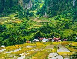 Jangan bercermin di air keruh. Mendampingi Desa Menjadi Subyek Perubahan Desapedia