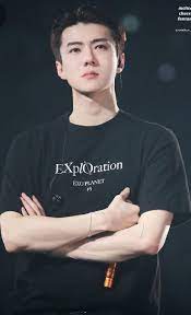 تتحدث القصة عن بارك تشانيول ابن الملك و والي العرش الاول الالفا الاقو werwolf werwolf amreading books wattpad sehun exo movies
