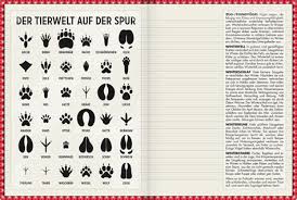 Kostenlose ausmalbilder in einer vielzahl von themenbereichen, zum ausdrucken und anmalen. Ratsel Tierspuren Tierspuren Zum Ausdrucken Kostenlos Bilder Finden Die Zum Begriff Tierspuren Passen Hijab Review