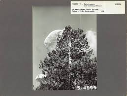 Rare Historical Photos of Smokejumpers ...