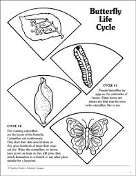 This butterfly lifecycle cloze worksheet is an interesting way to learn a little more about the life cycle of these fascinating minibeasts. Butterfly Life Cycle Cut And Paste Puzzle Printable Cut And Pastes