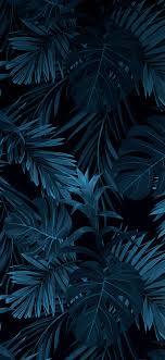 Wallpaper Iphone X Mavi Arka Planlar Sanat Posterler Arkaplan Tasarimlari
