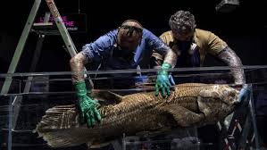 Animals Discovered Alive After We Thought They Were Extinct