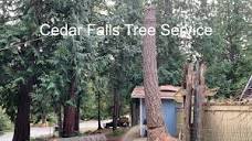 Cedar Falls Tree Service, LLC