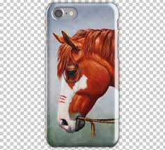 Paintin is a beautiful and unique looking 11 year old 15. American Frontier American Quarter Horse American Paint Horse United States Wild Horse Png Clipart American Paint