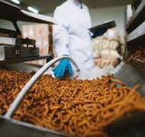 FSSC 22000 food safety management system