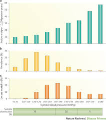 hypertension nature reviews disease primers