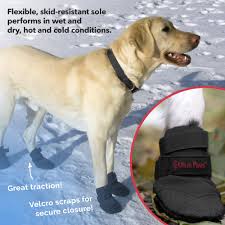 ultra paws durable dog boots shoes black buy online in uae