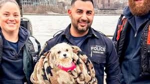 He saves a dog from drowning... what the police officer decides next is  incredible