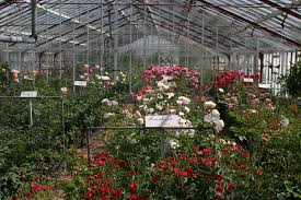 Be amazed by the millions of beautiful flowers and plants traded daily. Historische Tuin Aalsmeer