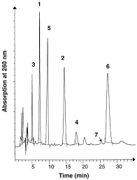 Image result for Strychnos mellodora