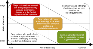 Image result for Hypertriglyceridemia