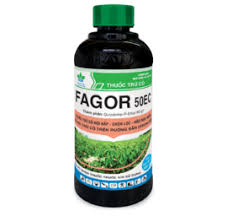 Fagor 50EC