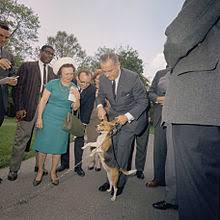 Pets 'r' us can set you up with a wide selection of products and accessories from the moment you walk through the door. United States Presidential Pets Wikipedia