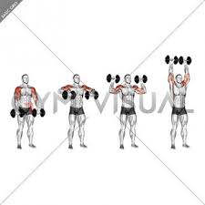 Pin On Arms Shoulders