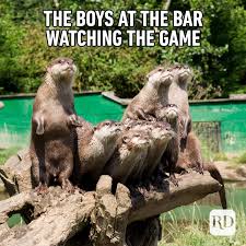 Top 25 funny animals photos and memes | quotes and humor. 40 Funny Animal Memes Reader S Digest